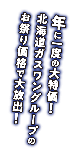 年に一度の大特価！