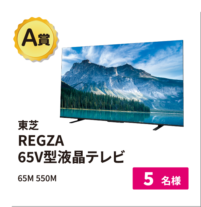 東芝REGZA65V 型液晶テレビ