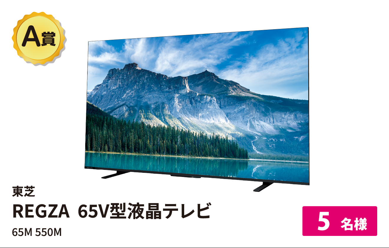 東芝REGZA65V 型液晶テレビ