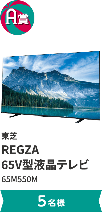 A賞 東芝 REGZA 65V型液晶テレビ 65M550M。5名様まで。