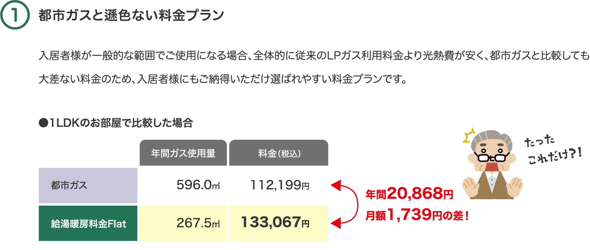 1つ目のポイントは、都市ガスと遜色ない料金プラン。 入居者様が一般的な範囲でご使用になる場合、全体的に従来のLPガス利用料金より光熱費が安く、都市ガスと比較しても大差ない料金のため、入居者様にもご納得いただけ選ばれやすい料金プランです。1LDKのお部屋で比較した場合、年間20,868円で月額1,739円の差が出ます。算出条件は、給湯暖房料金Flat：1LDKタイプ、都市ガス：北海道ガス家庭用FF暖房・給湯契約料金（2024年12月料金）、都市ガス使用量＝LPガスの数量を都市ガスの熱量に換算した数量で予測しています。