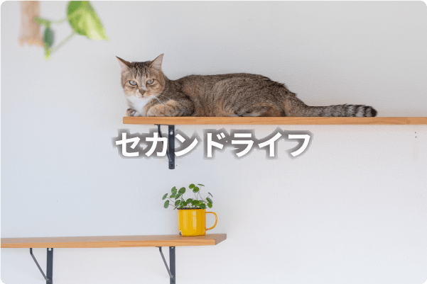 セカンドライフ