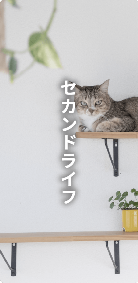 セカンドライフ